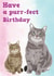 Purr-fect Birthday cat card 1000 created by Megan Bowden