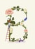 Initial Card letter B created by A-Z Initials by Love Lucy Illustration