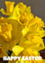 Daffodil Easter created by Ebz Designs