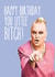 Happy Birthday You Little Bitch! created by Pop Culture Cards
