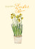 Happy Easter Daffodils card for Mum created by Anna Kuvarzina