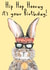 Rabbit Animal Hip Hop Birthday Card created by Amy Florence Design