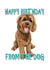 Happy Birthday from the Dog Card created by Duckduckle Design