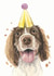 Springer Spaniel Birthday Card created by Robert James Hull