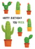 Birthday Cactus Prick created by Sophie Kent Illustration