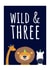 Wild & Three 3rd Birthday Card created by Evezee