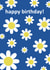 happy birthday daisies created by Comfy Marmalade