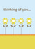 thinking of you daisies created by Comfy Marmalade