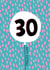 Happy 30th Birthday created by Jessica Eyre