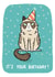 Grumpy Birthday Cat created by Camille Medina