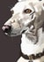 Lurcher card  created by Higgledy Pets