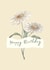 Pretty Traditional Daisy Birthday Card created by Night designs