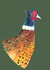 Regal Pheasant  created by Rachel Croker