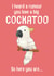 Funny Cockatoo pun Valentines/Birthday/Anniversary card created by BritWit