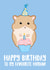 Happy Birthday From The Hamster created by Tori's Little Bubble