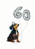 Dachshund 60th birthday card created by Hot Dog greetings
