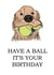 Have a Ball Birthday, From the Dog created by Creature Character Design