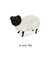 Funny Sheep Dog Pug created by Vivi Lake