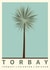Torbay Palm 1000 created by Jennifer Zangeneh