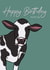 Happy Birthday You Old Cow created by Rosie Muddimer