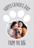 from the dog furry friends Father's Day Personalised Photo Card 30798 created by Love Lila Photography