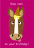 Stay Cool Horse Birthday Card created by Kristify Creative