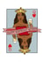 Happy birthday Queen card created by Wooden It Be Precious