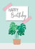 Monstera Swiss Cheese Plant Birthday Card created by Diary of a Craft Girl