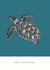 Arty Birthday Card - Turtle - Sealife - Shells created by Bird 