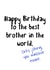 Best brother rude birthday card created by Melissa Charlotte