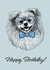 Pomeranian Dog Birthday Card created by Anna Manka