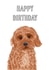 Cockapoo dog birthday card created by Adam Regester