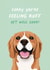Cute Beagle Dog, Get well soon card created by Amy V Packham Art