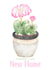 Housewarming Cactus Pot Plant created by Louise Brown