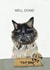 New job or Promotion Congratulations Card from the Cat created by Jo Scott Art