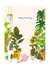 Gardening birthday card created by Katie Moody