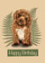 Cute Cavapoo Birthday Card 1001 created by Fat Nancy Cards 