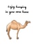 Cheeky Camel Pun New Home Card - Enjoy Humping In Your New Home created by AVO-CARDO