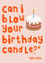 Can I Blow Your Birthday Candle, Hint Hint created by Pink Peach Cards