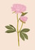 Pretty Peonies Greeting Card created by Georgia Ropek