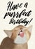 Have a Purrfect Birthday created by onethirtysix_am