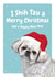 Shih tzu dog christmas card created by Studio Woof