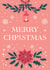 Merry Christmas Poinsettia Card - Poinsettia - Flowers - Holly - Festive - Traditional - Snowflakes - Christmas Card created by Kate Styling
