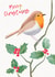 Watercolour Robin Christmas Card created by Dark Finch