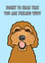 Cockapoo dog get well card created by Adam Regester