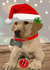 Christmas Labrador created by rdlinnovation