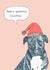 Dog Christmas card. 1001 created by Pearl Illustrations