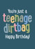 You're justa  teenage dirtbag Happy Birthday card created by FurzePrints