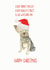 Yorkshire Terrier Father Christmas created by Sarah Maddox