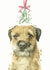 Border Terrier Christmas Card created by Robert James Hull